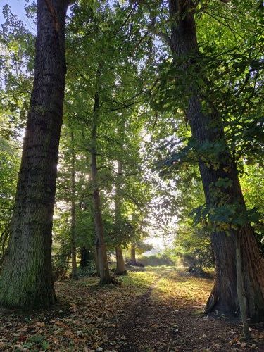cure détox et alimentation saine en Hauts de France 59