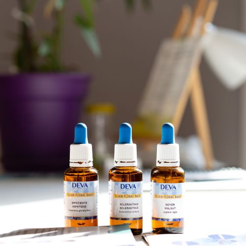 Fleurs de Bach près de Tilloy les Marchiennes